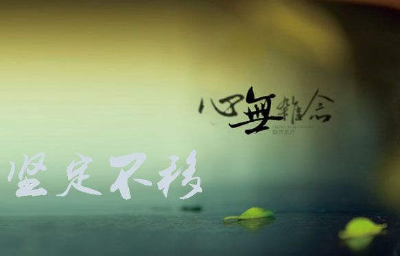 党的两个坚定不移指的是什么